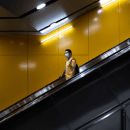 Home Tokyo Has Banned Spectators Amidst Covid-19